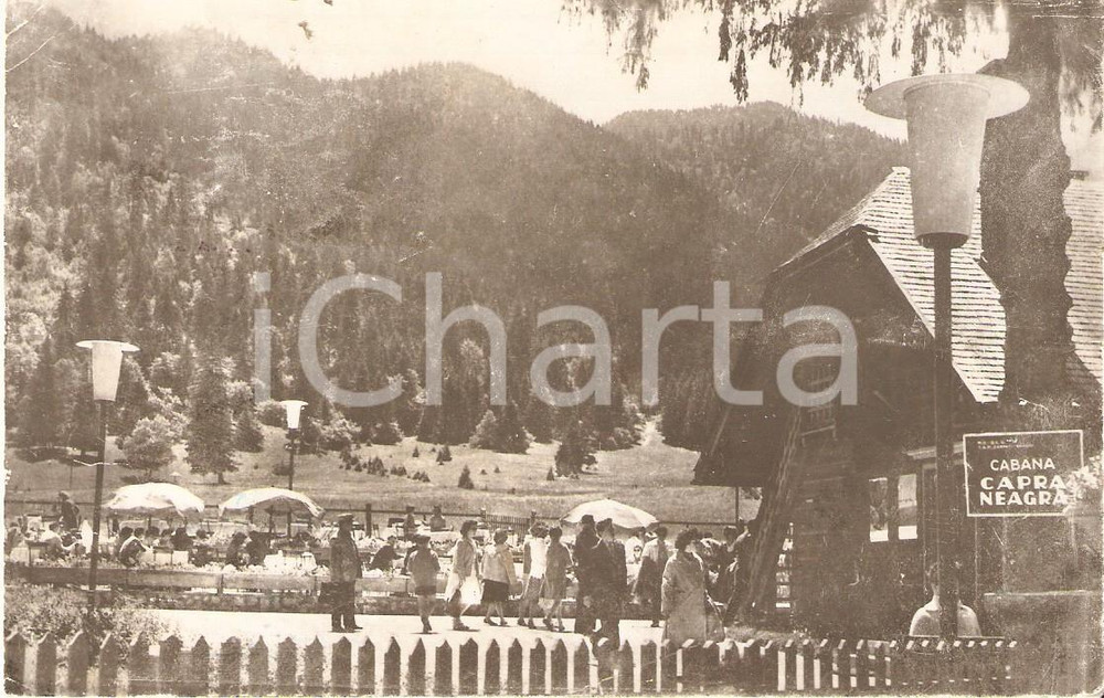Cartolina originale da collezione 1960 ca POIANA BRASOV ROMANIA Cabana Capra Neagra Cartolina FP VG 1