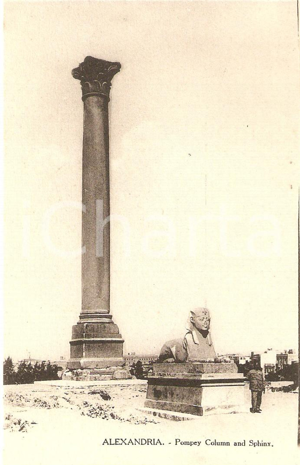 Cartolina originale da collezione 1920 ca ALESSANDRIA D EGITTO Sfinge e Colonna di POMPEO Cartolina FP NV 1