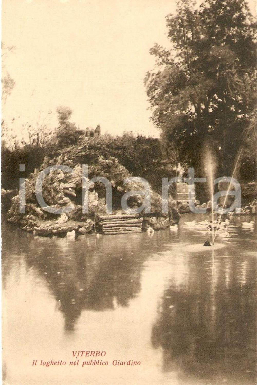 Cartolina originale da collezione 1935 ca VITERBO Laghetto dei giardini pubblici Cartolina FP NV 1