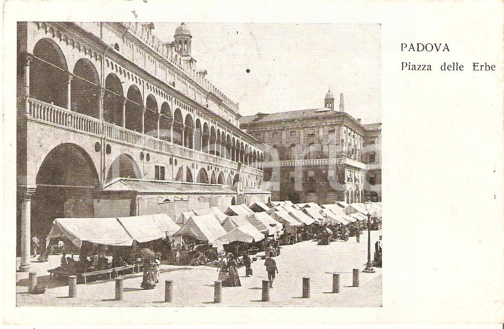 Cartolina originale da collezione 1908 PADOVA Mercato in Piazza delle Erbe Cartolina FP VG 1
