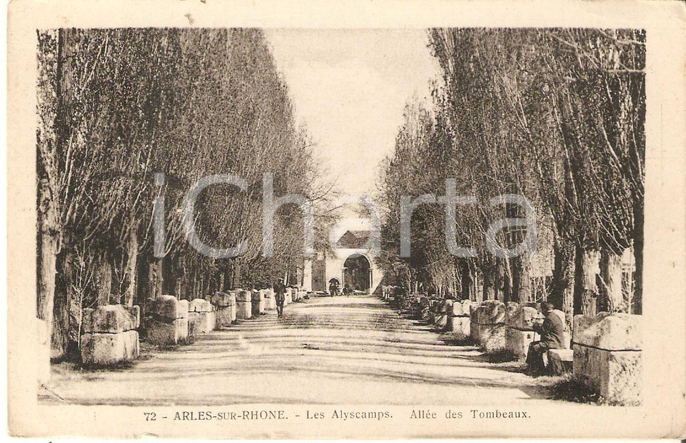 Cartolina originale da collezione 1930 ca ARLES FRANCE Les Alyscamps  AllÃ©e des tombeaux Cartolina FP NV 1