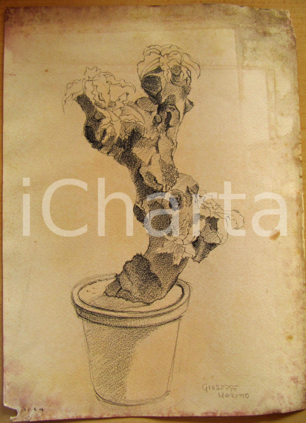 Opera d’arte autentica 1934 Giuseppe MARETTO Allegoria dell Italia DISEGNO AUTENTICO 1