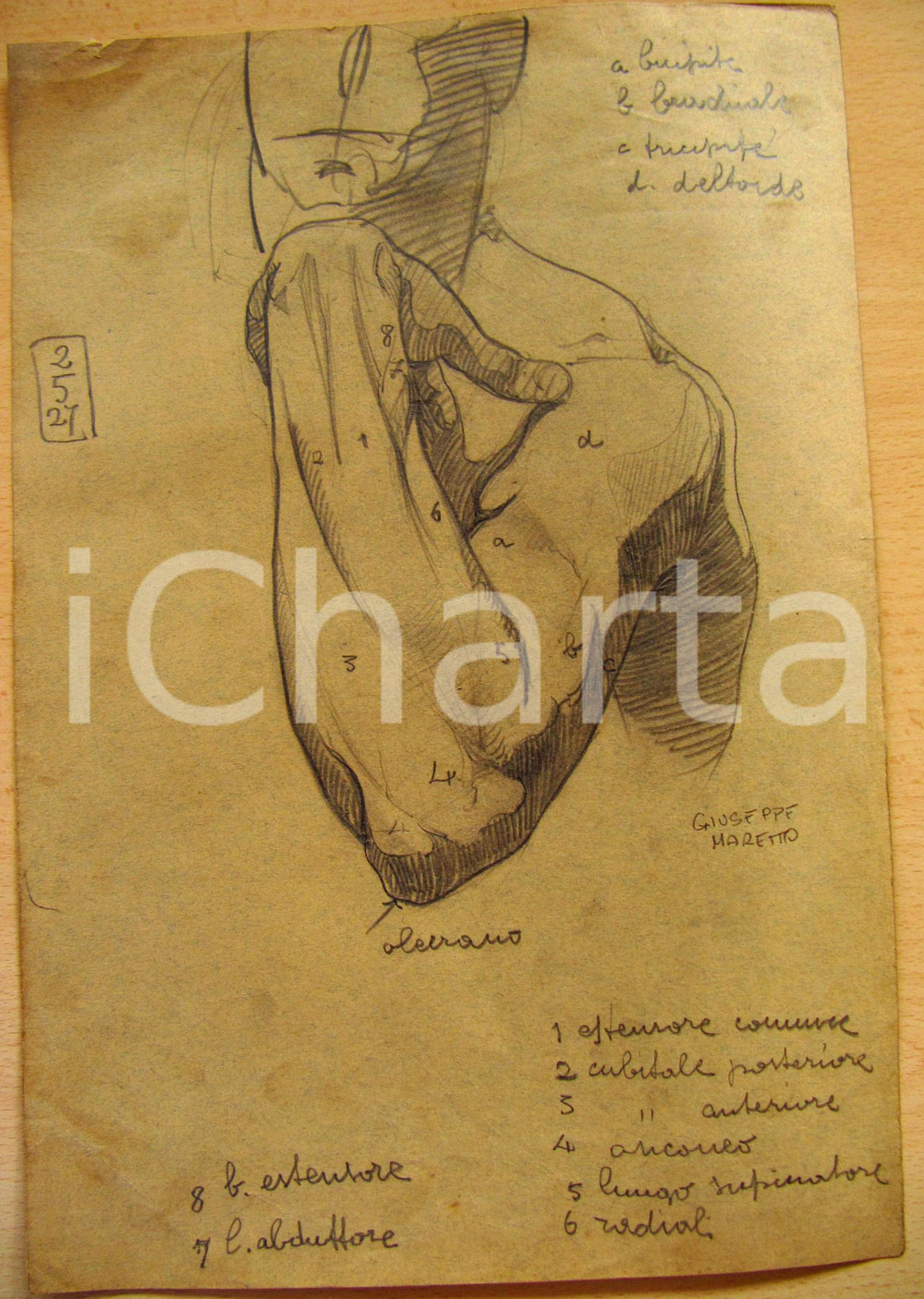 Opera d’arte autentica 1927 Giuseppe MARETTO Studio di anatomia DISEGNO AUTENTICO 1