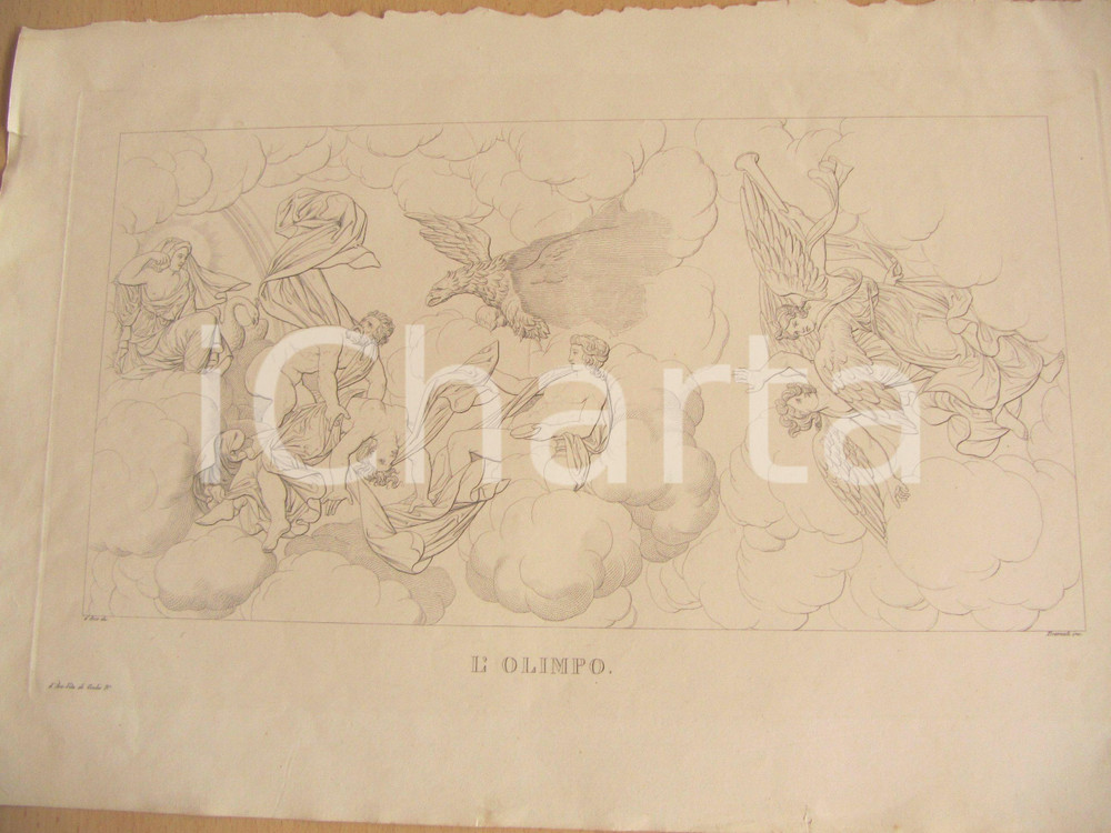 Stampa, bozzetto originale 1838 CARLO D ARCO DÃ¨i dell OLIMPO Incisione BRAMATI 1