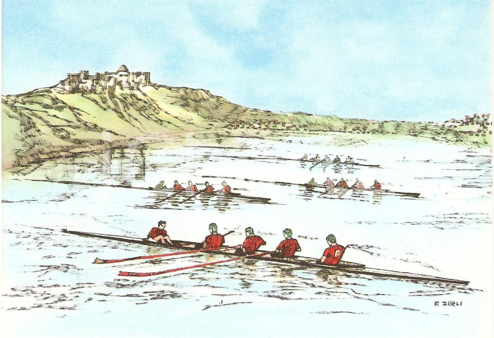 Cartolina originale da collezione 1960 ROMA XVII OLIMPIADE Canottaggio LAGO DI ALBANO Ill. ZURLI Cartolina 2 1