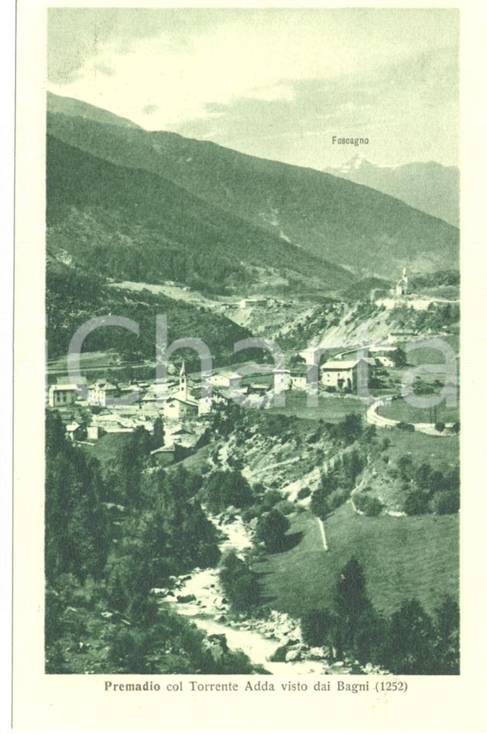 Cartolina originale da collezione 1920 ca PREMADIO SO Veduta con torrente ADDA dai bagni Cartolina FP NV 1