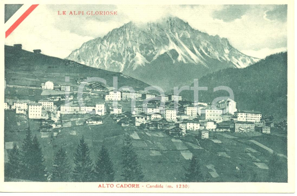 Cartolina originale da collezione 1918 LE ALPI GLORIOSE CANDIDE BL Veduta dell ALTO CADORE Cartolina FP VG 1