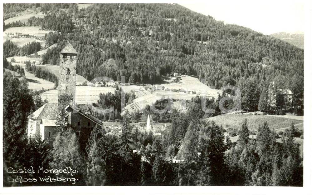 Cartolina originale da collezione 1920 ca CASTEL MONGUELFO BZ Panorama generale Cartolina postale FP NV 1