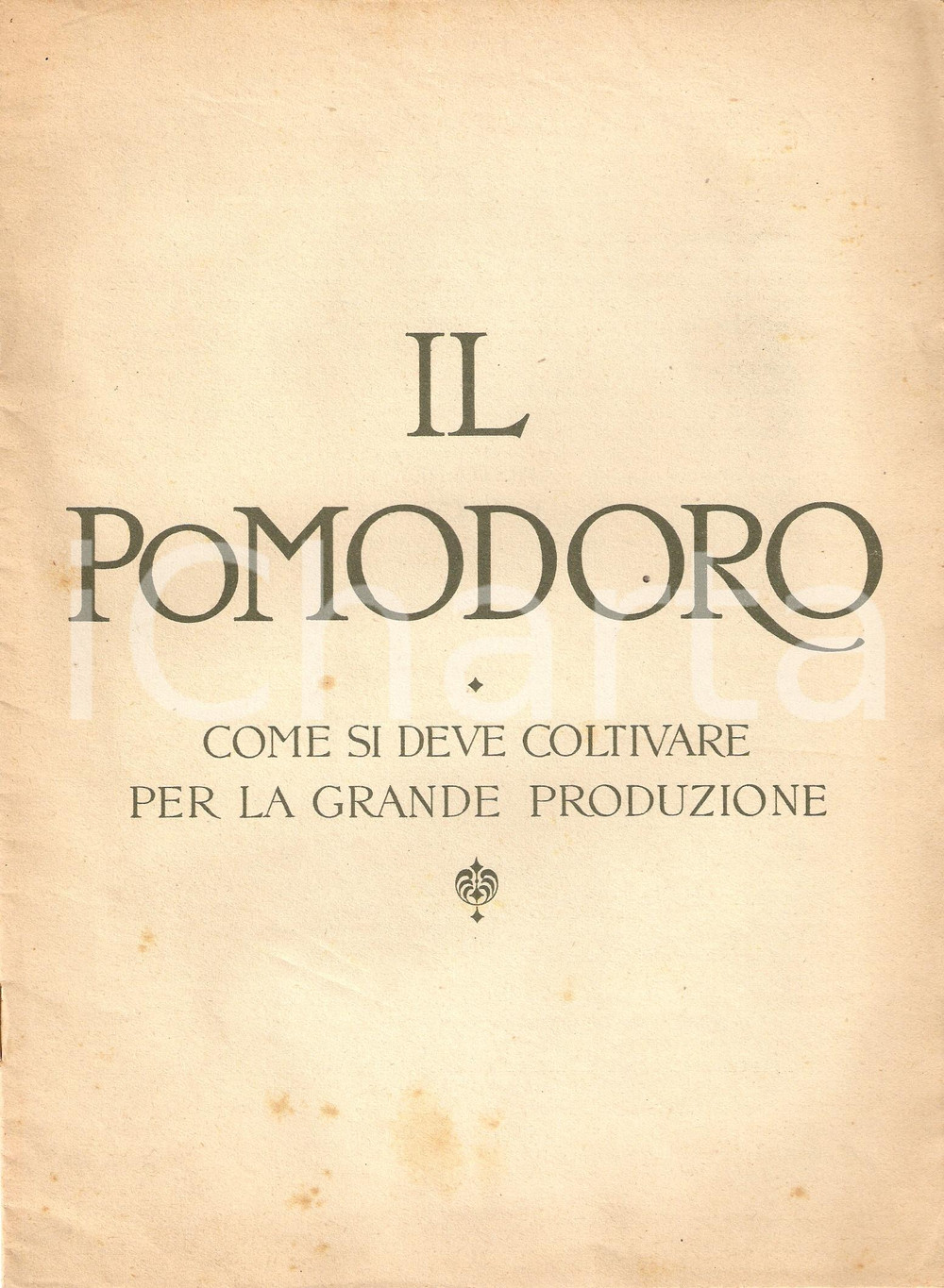 Libro, pubblicazione d epoca 1925 Edoardo BASSI Come coltivare il pomodoro NITRATO SODA DEL CHILE 1 1