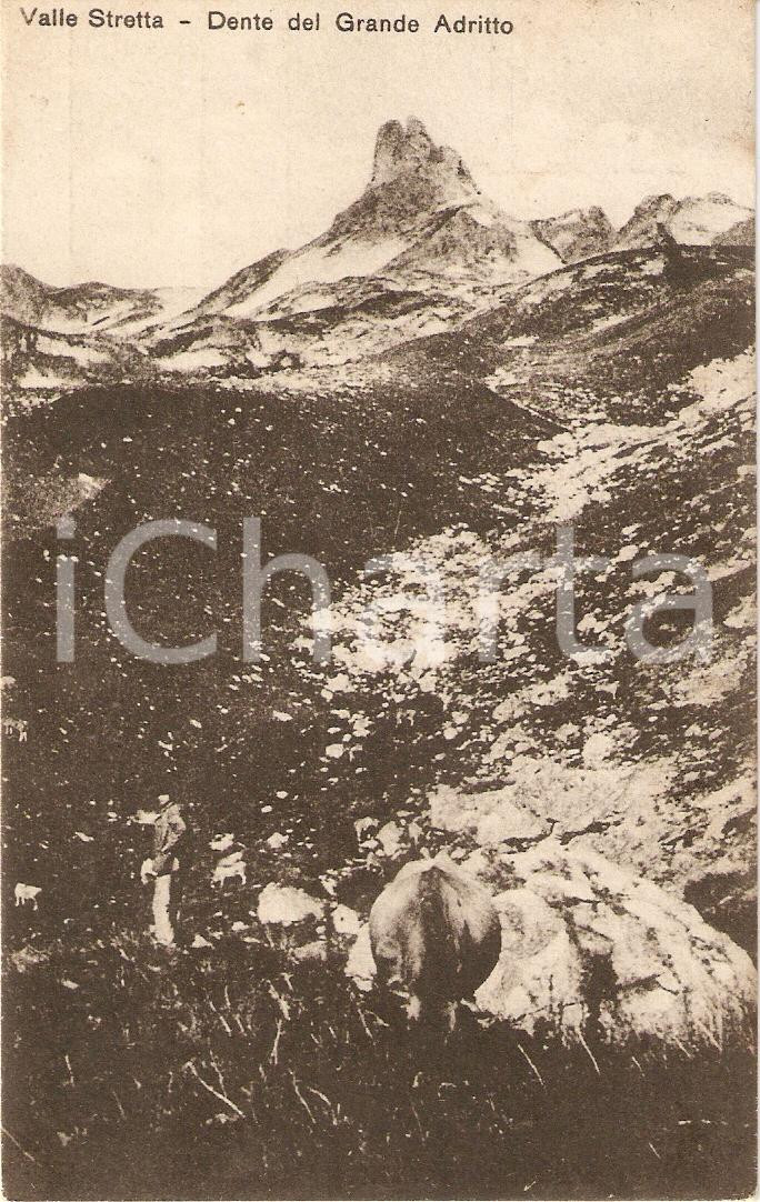 Cartolina originale da collezione 1918 BARDONECCHIA TO Dente del Grande Adritto VALLE STRETTA Cartolina FP VG 1