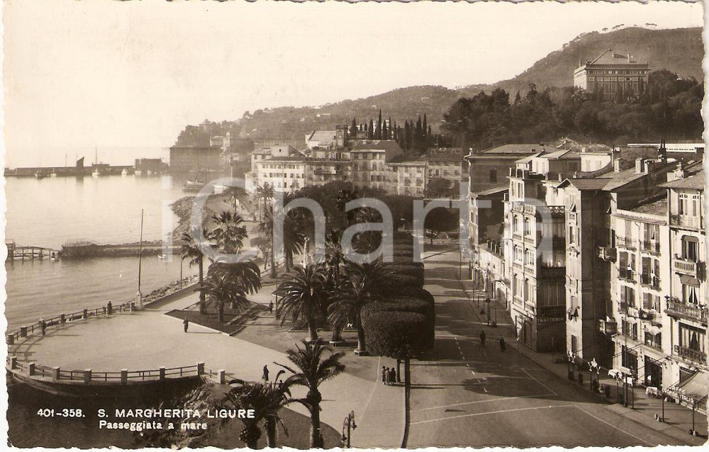 Cartolina originale da collezione 1951 SANTA MARGHERITA LIGURE GE Veduta aerea lungomare ANIMATA Cartolina FP VG 1