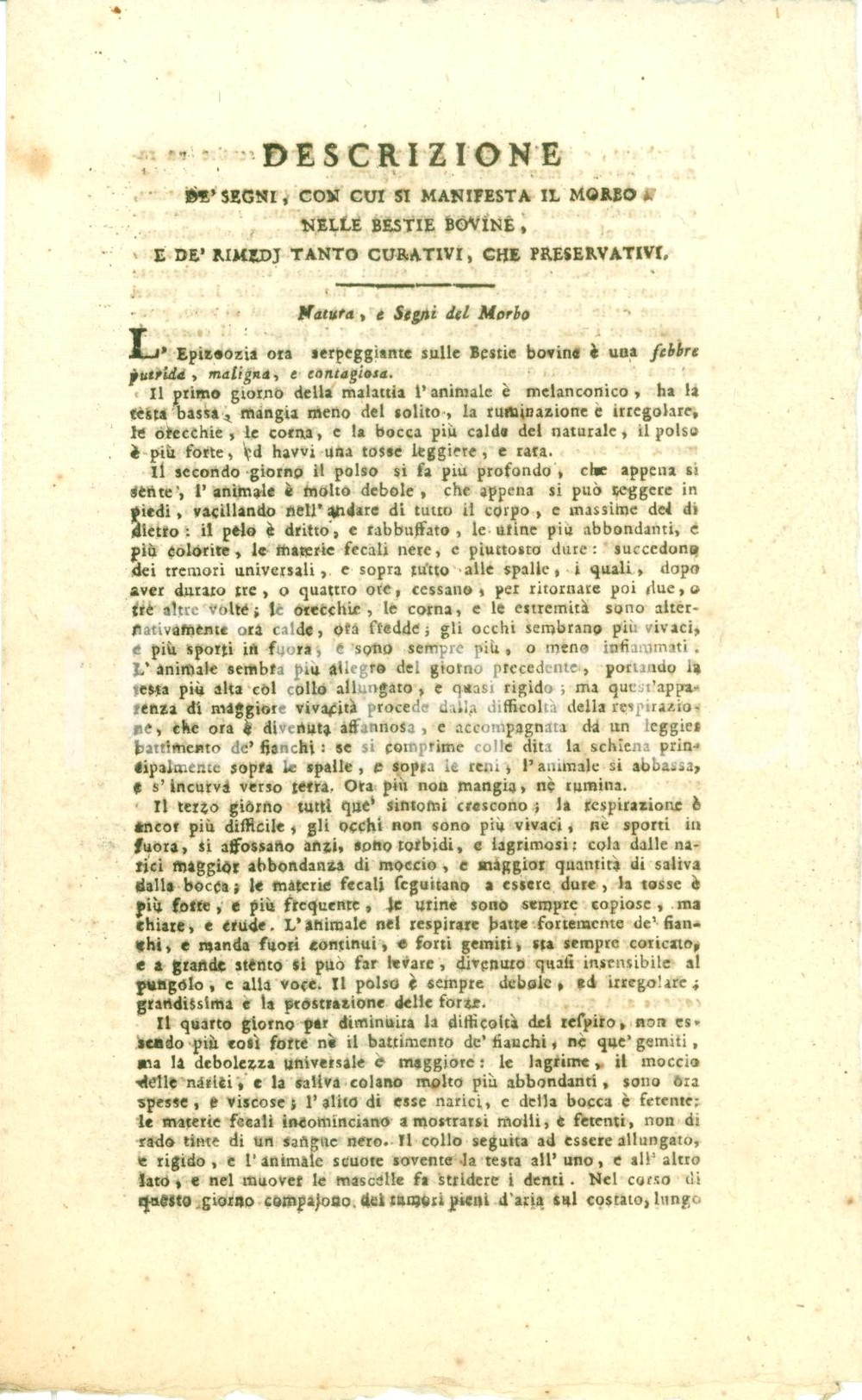 Documento originale, autentico 1795 TORINO Resoconto sintomi rimedi della PESTE BOVINA Documento RARISSIMO 1