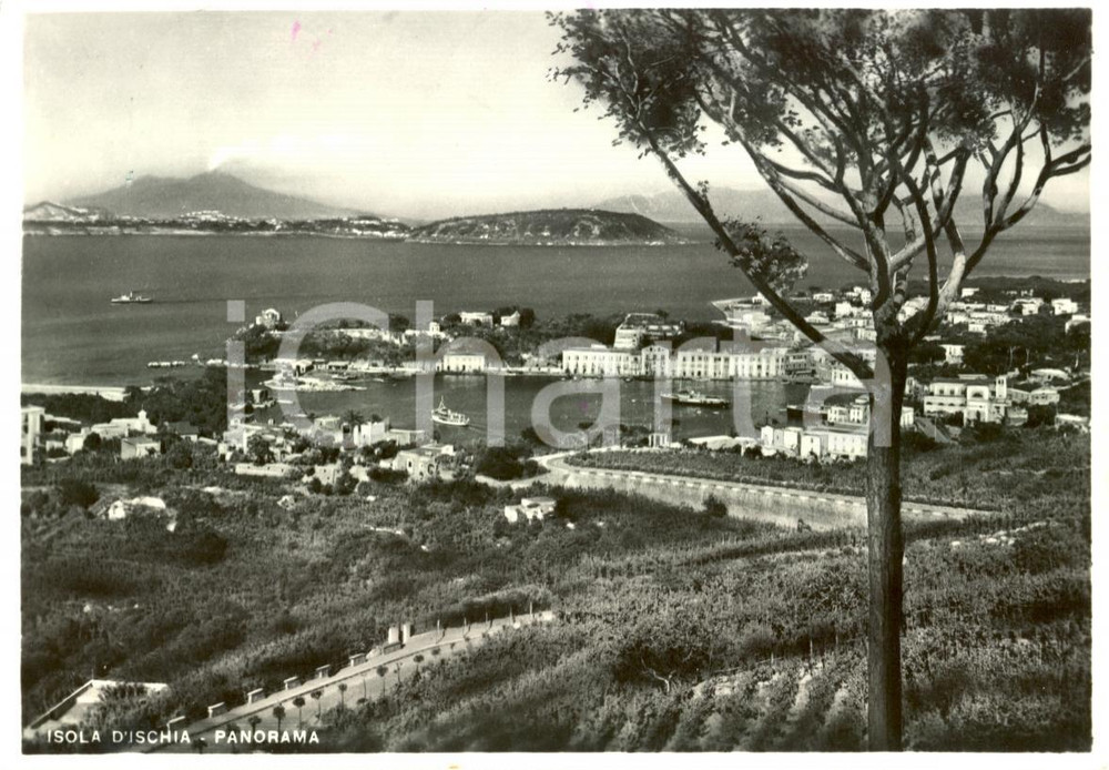 Cartolina originale da collezione 1953 ISOLA D ISCHIA NA Panorama generale con barche Cartolina animata FG VG 1
