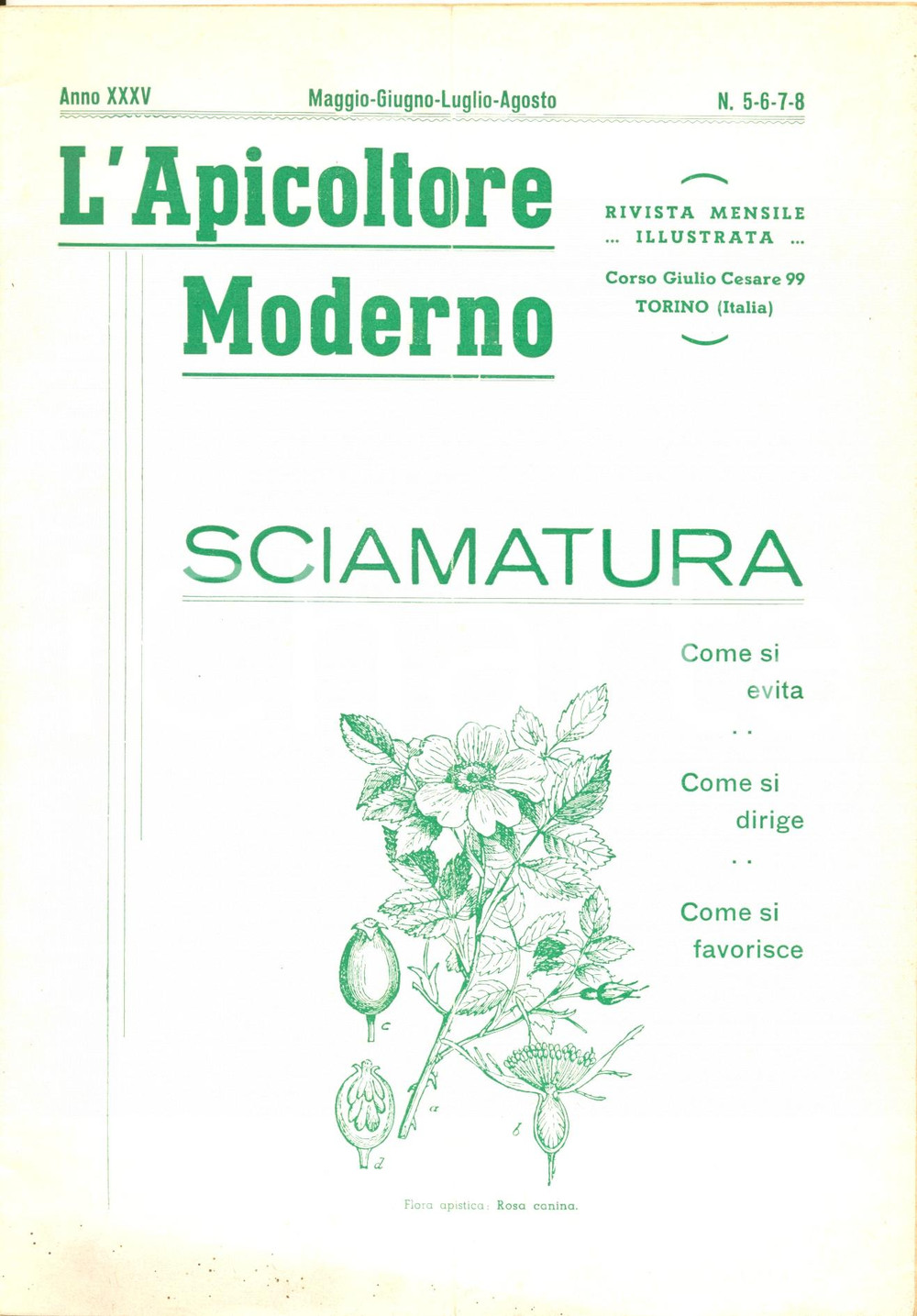Giornale, rivista storica 1944 L APICOLTORE MODERNO Consigli e notizie su SCIAMATURA Rivista ILLUSTRATA 1