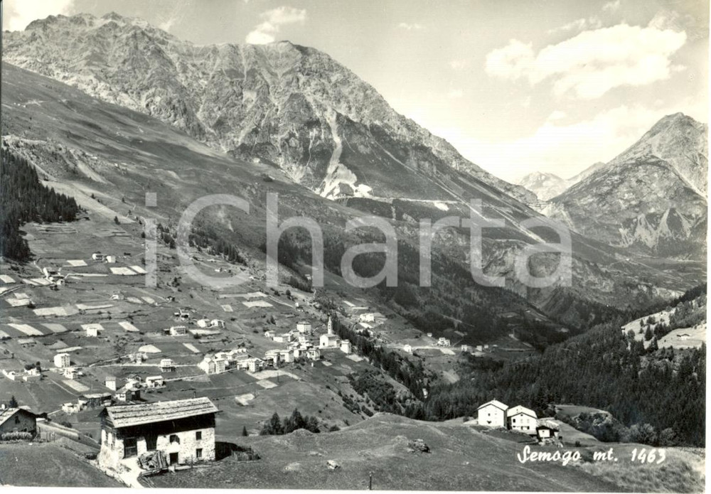 Cartolina originale da collezione 1950 ca VALDIDENTRO SO Veduta generale di SEMOGO Cartolina postale FG NV 1