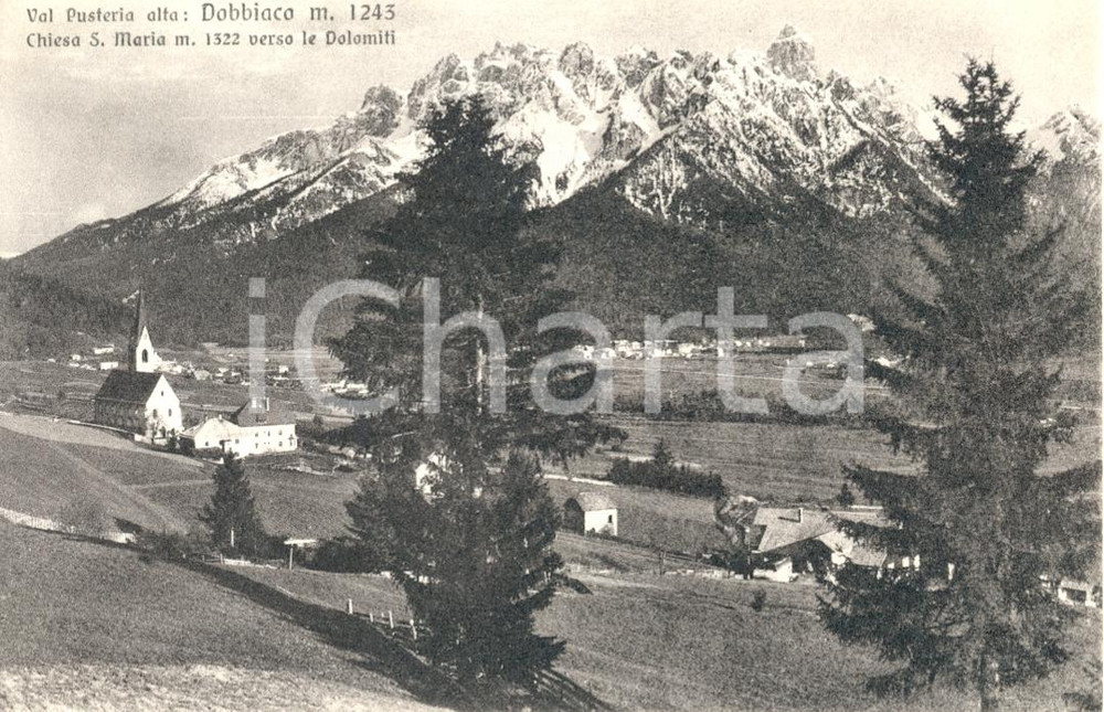 Cartolina originale da collezione 1925 ca DOBBIACO BZ Panorama verso le DOLOMITI  Santa Maria Cartolina FP NV 1