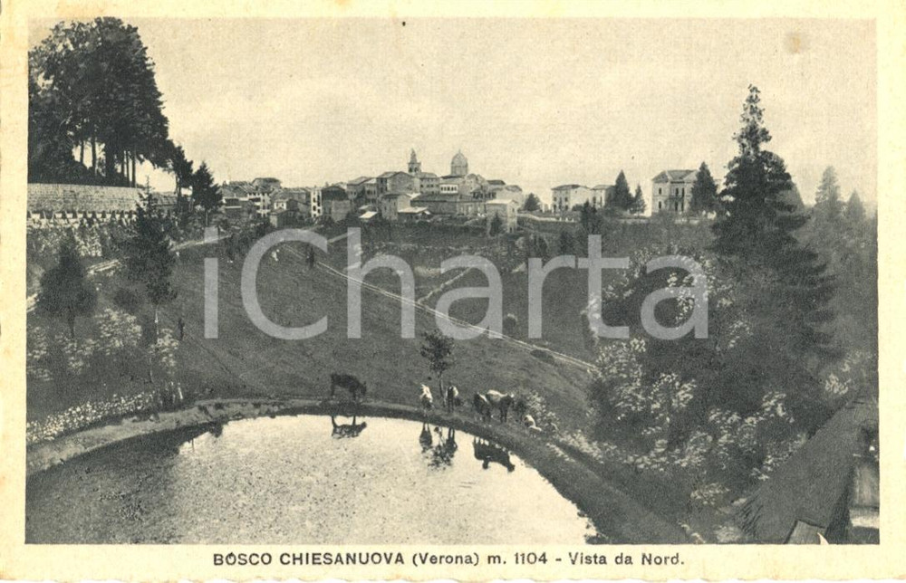 Cartolina originale da collezione 1934 BOSCO CHIESANUOVA VR Veduta da Nord  PASTORI Cartolina animata FP VG 1