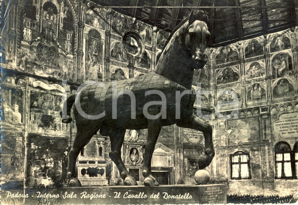 Cartolina originale da collezione 1951 PADOVA Veduta dell  interno Palazzo della Ragione Cartolina postale FG VG 1