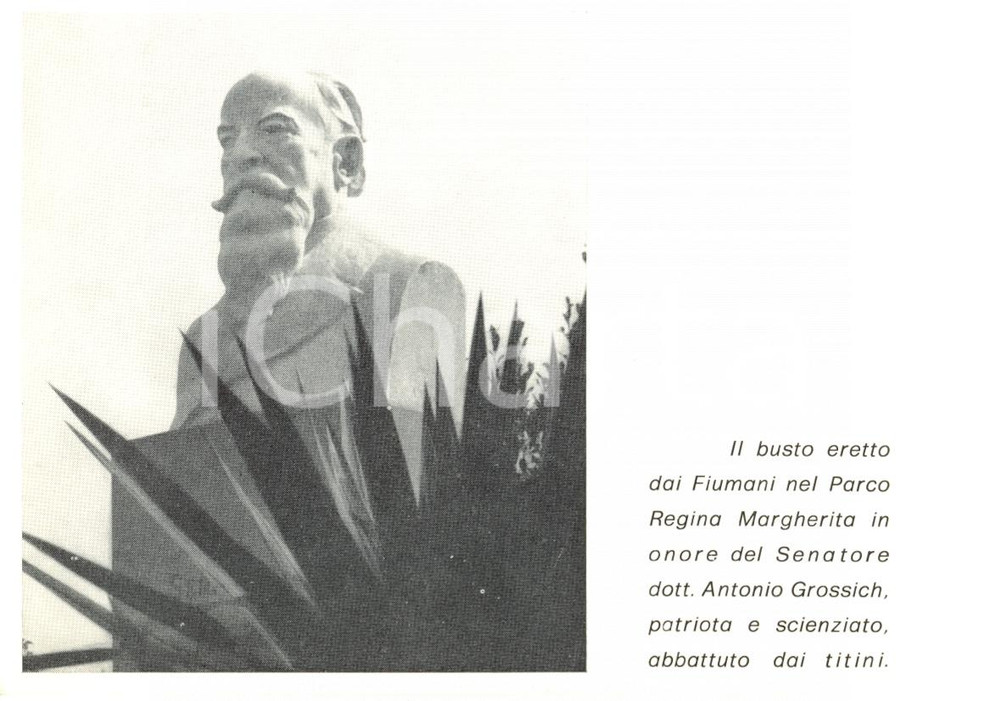 Cartolina originale da collezione 1960 ca PADOVA Il busto del senatore ANTONIO GROSSICH Cartolina postale FG NV 1