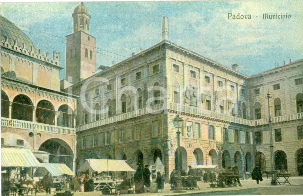 Cartolina originale da collezione 1930 ca PADOVA Mercato in Piazza del Municipio Cartolina postale FP NV 1