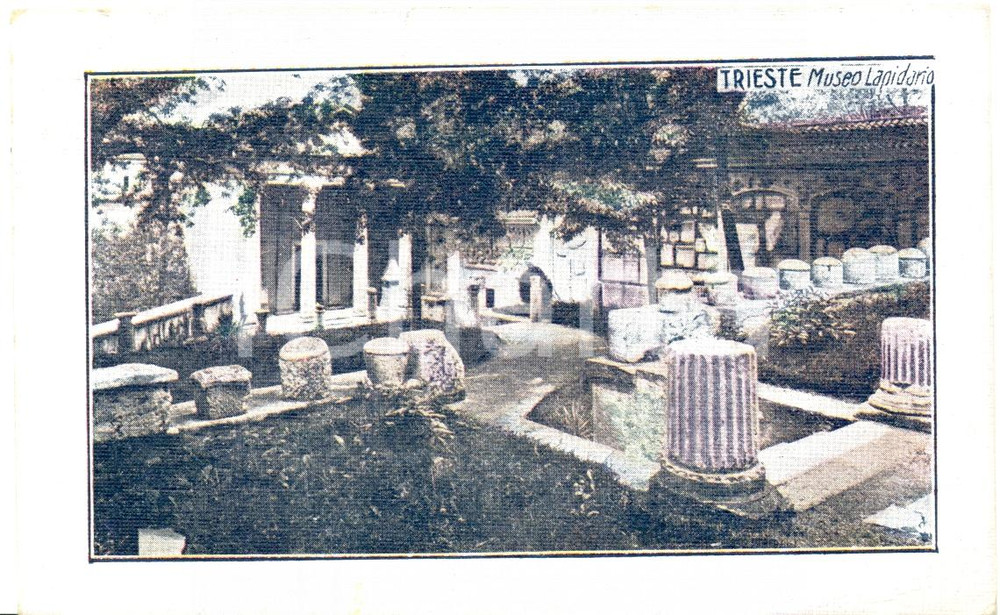 Cartolina originale da collezione 1927 TRIESTE Museo lapidario Cartolina postale FP VG 1