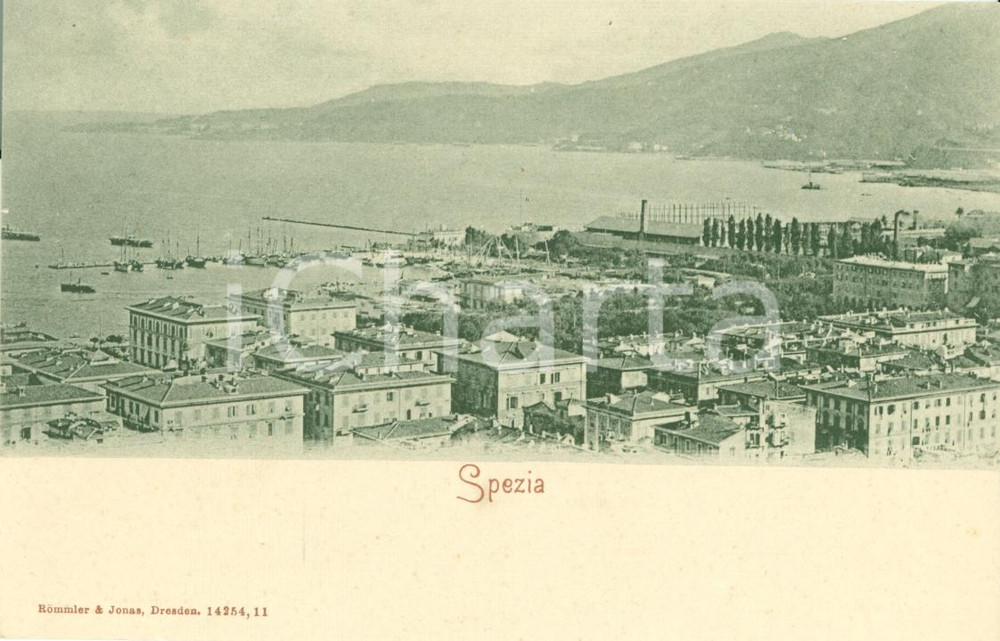 Cartolina originale da collezione 1900 ca LA SPEZIA Panorama del Porto Cartolina FP NV 1