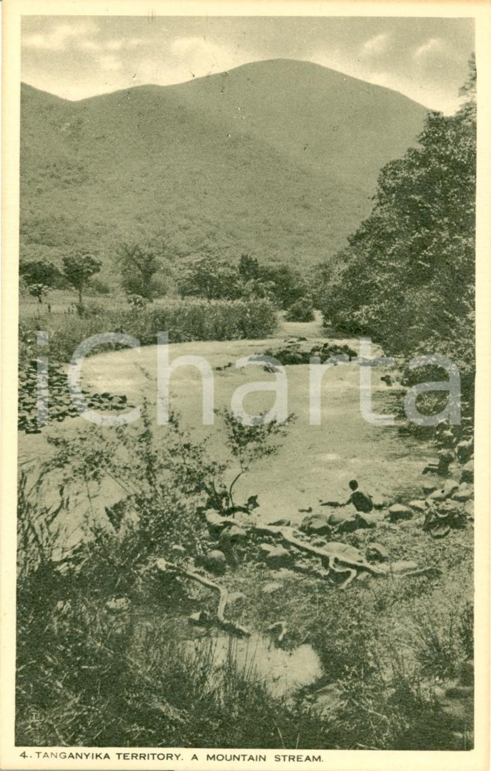 Cartolina originale da collezione 1924 TANGANIKA Fiume LUKOSA Mountain stream ANIMATA Cartolina FP NV 1