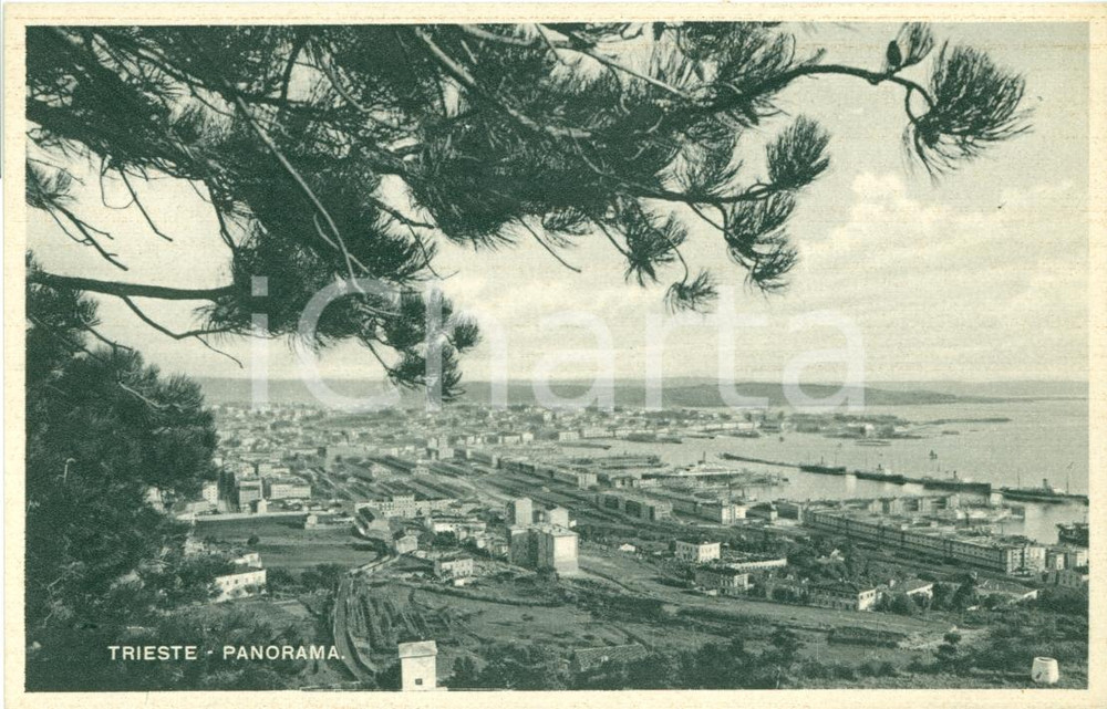 Cartolina originale da collezione 1940 ca TRIESTE Panorama generale aereo Cartolina FP NV 1