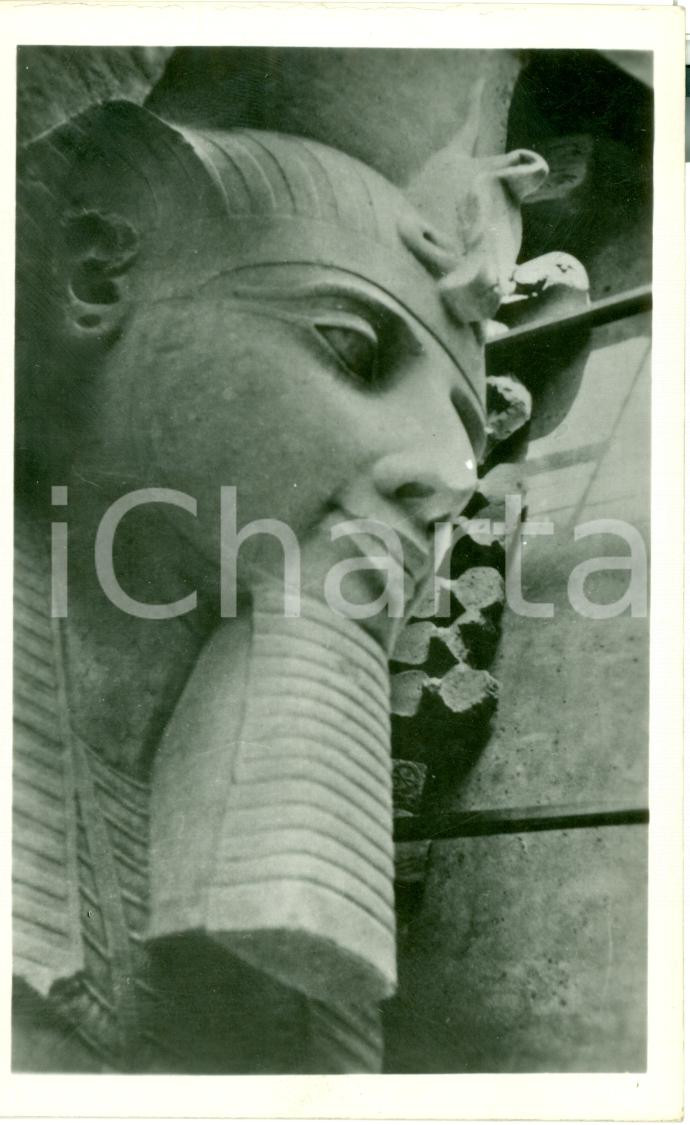 Cartolina originale da collezione 1940 MEMPHIS Particolare del Colosso LEHNERT LANDROCK 1