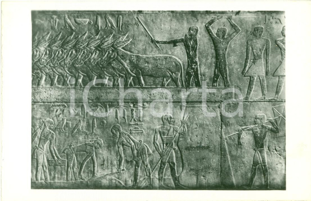 Cartolina originale da collezione 1930 ca SAKKARA La tomba di PTAHHOTEP Cartolina LEHNERT LANDROCK 1