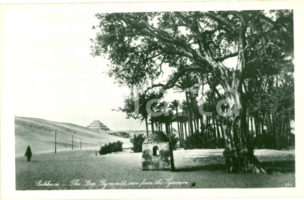 Cartolina originale da collezione 1940 ca SAKKARA La piramide a gradoni LEHNERT LANDROCK 1