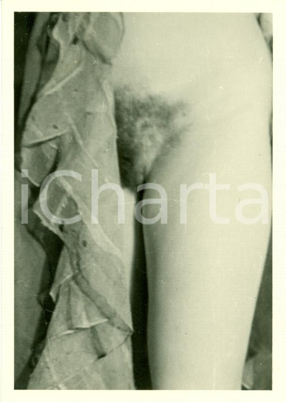 Fotografia d epoca originale 1950 ca EROTICA VINTAGE Nudo femminile Monte di VENERE 1