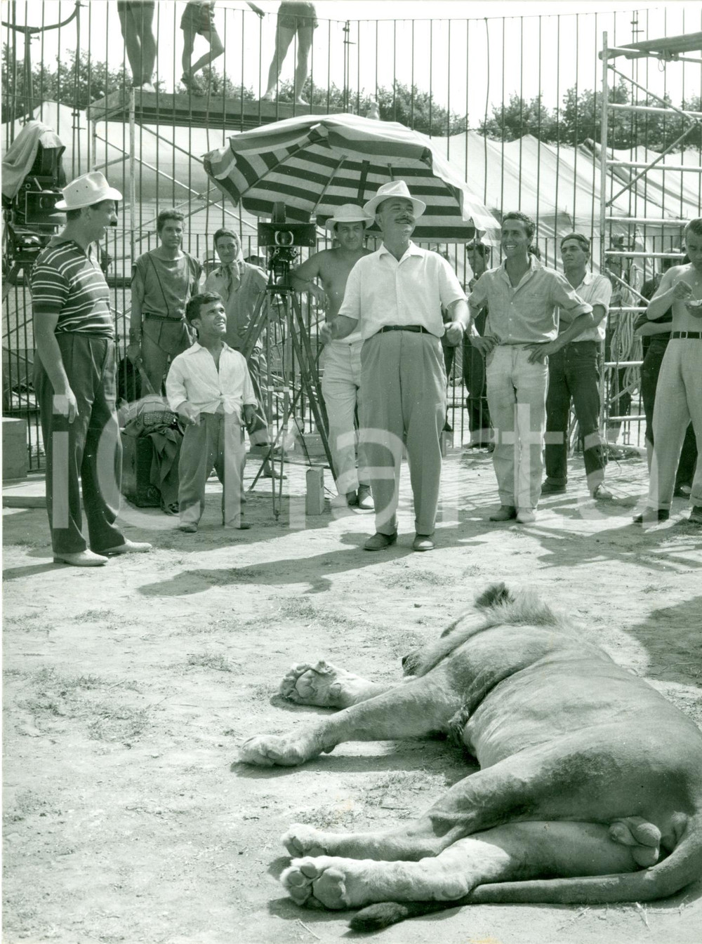 Fotografia d epoca originale 1960 L ASSEDIO DI SIRACUSA Pietro FRANCISCI nella gabbia del leone Foto set 1