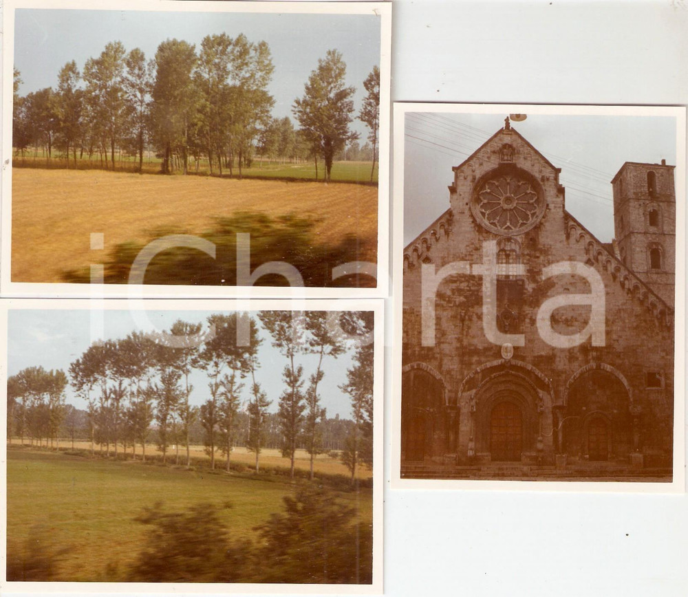 Fotografia d epoca originale 1966 RUVO DI PUGLIA BA Cattedrale SANTA MARIA ASSUNTA e campagna Lotto 3 foto 1