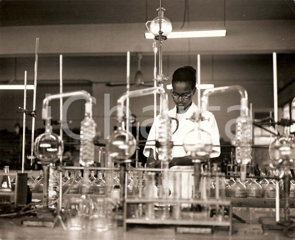 Fotografia d epoca originale 1980 ca WHO PHOTO Biochimico in laboratorio Foto E. RICE Malattie ormonali 1