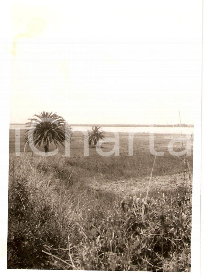 Fotografia d epoca originale 1953 IL SACCO DI ROMA Scorcio panoramico del set FERRUCCIO CERIO Fotografia 1