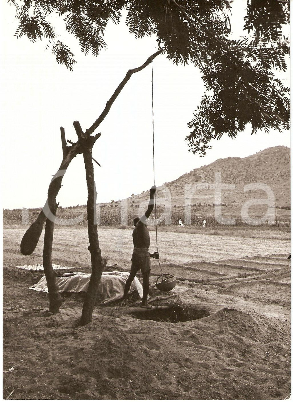 Fotografia d epoca originale 1981 AFRICA An ageold method of irrigating land WHO photo Water 1