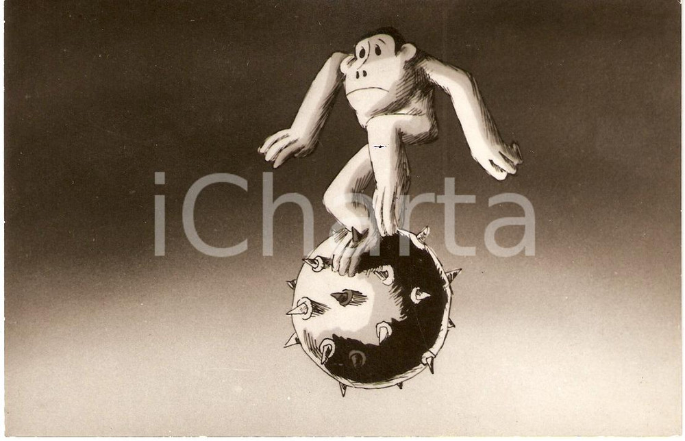 Fotografia d epoca originale 1981 MAJMUNI MONKEYS Cortometraggio animato BULGARIA Foto di una scena 1
