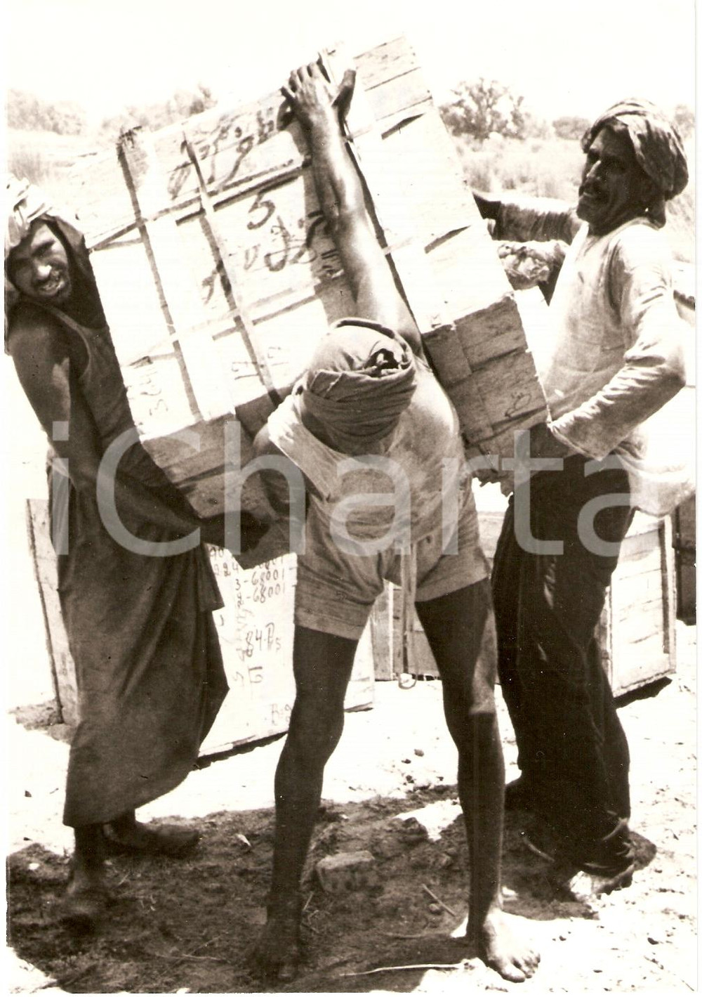 Fotografia d epoca originale 1977 WHO PHOTO Malattie ossee sforzi provocano osteoartrite Fotografia 1