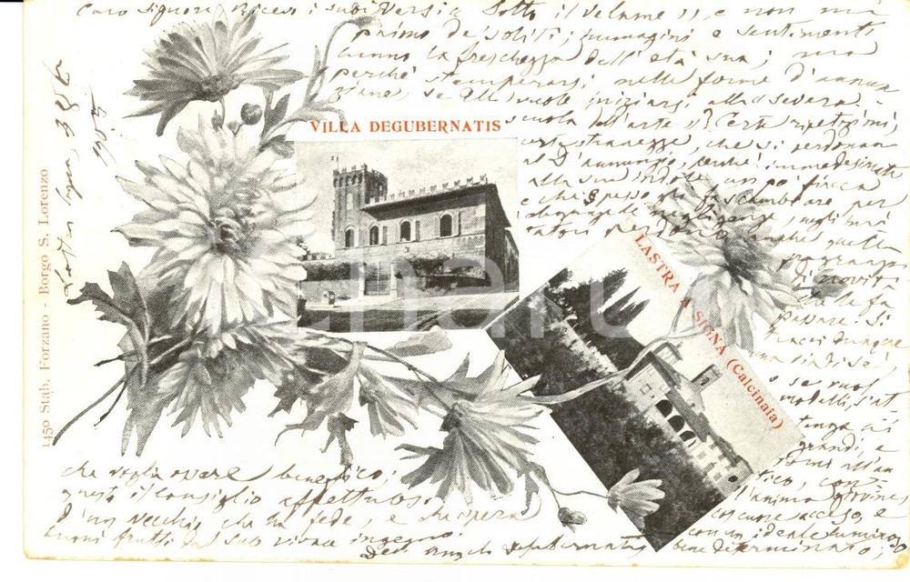 Autografo originale 1905 LASTRA A SIGNA Angelo DE GUBERNATIS stronca Domenico RICCI Autografo 1