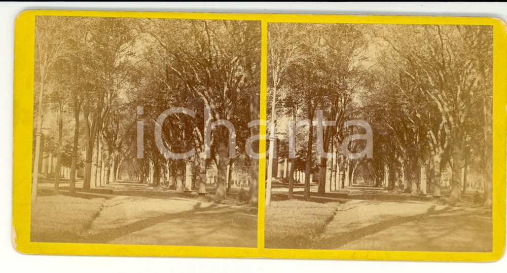 Fotografia d epoca originale 1890 NEW HAVEN Connecticut, USA The Temple Street  Stereoscopy 1