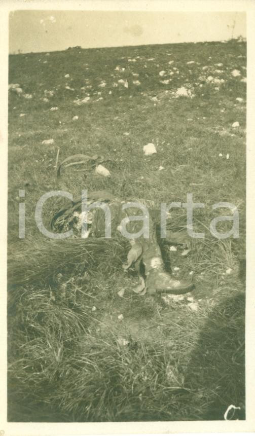 Fotografia d epoca originale 1917 FOGLIANO REDIPUGLIA GO WWI Soldati vittime delle bombe su altopiano FOTO 1