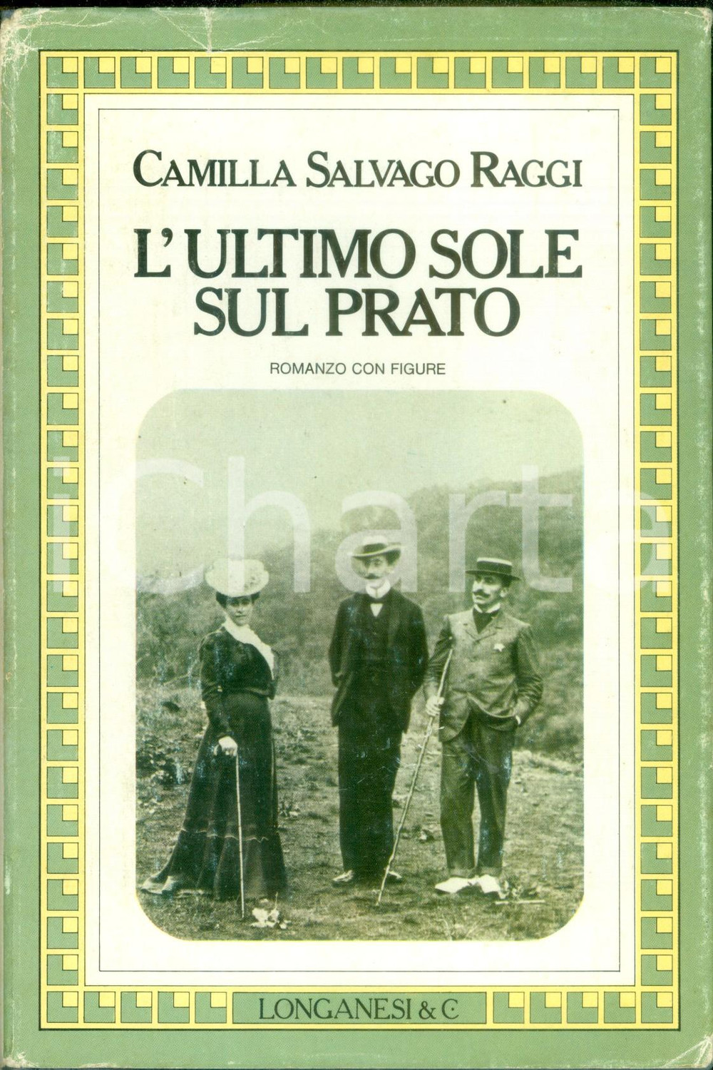 Libro, pubblicazione d epoca 1982 Camilla SALVAGO RAGGI L ultimo sole sul prato Romanzo con figure 1