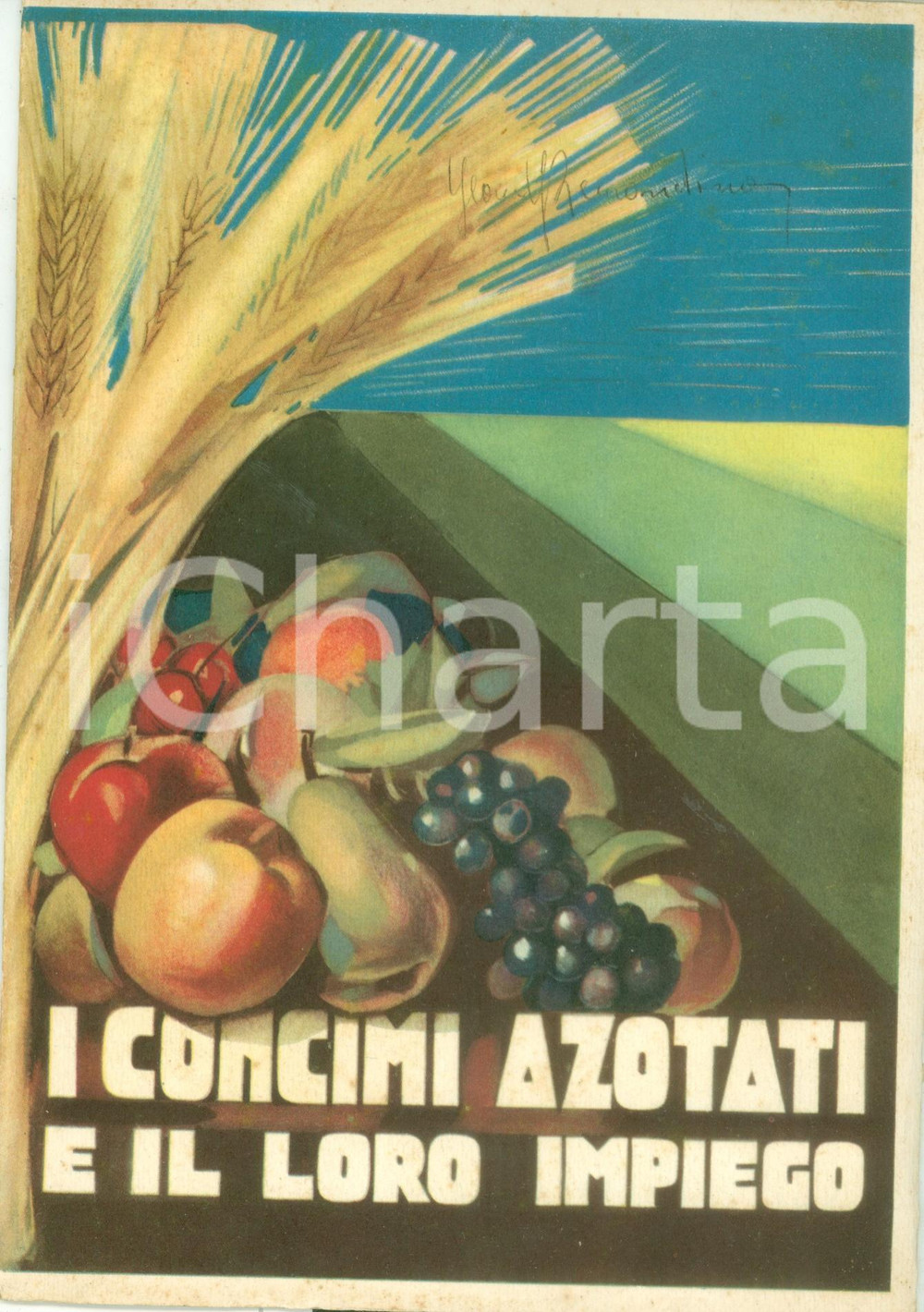 Libro, pubblicazione d epoca 1929 Ferruccio ZAGO I concimi azotati e il loro impiego Ufficio Agr. MONTECATINI 1