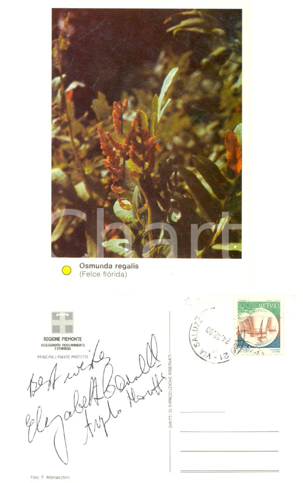 Autografo originale 1993 LIRICA Autografo di Elizabeth CONNELL soprano Cartolina postale 1