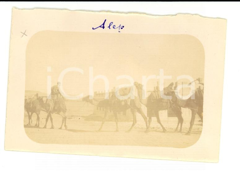 Fotografia d epoca originale 1920 ALEPPO Siria Cammelli e stazione ferroviaria BAGHDAD Foto VINTAGE 9x6 1