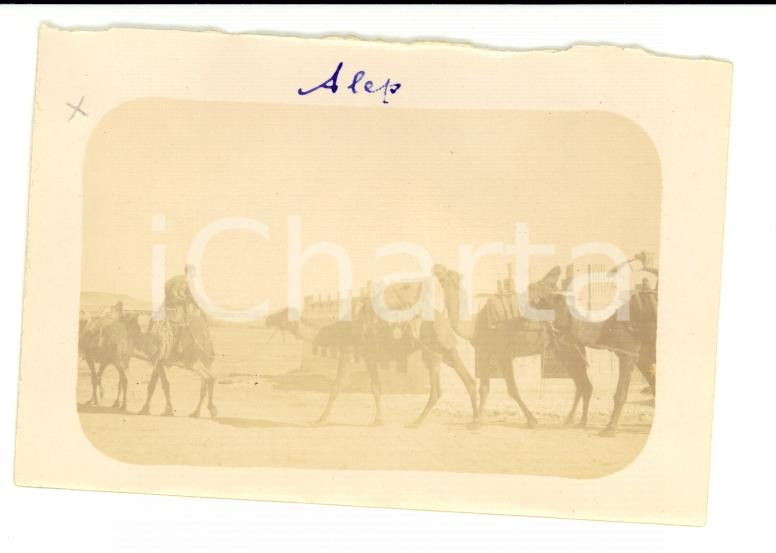 Fotografia d epoca originale 1920 ALEPPO Siria Cammelli e stazione ferroviaria BAGHDAD Foto VINTAGE 9x6 1