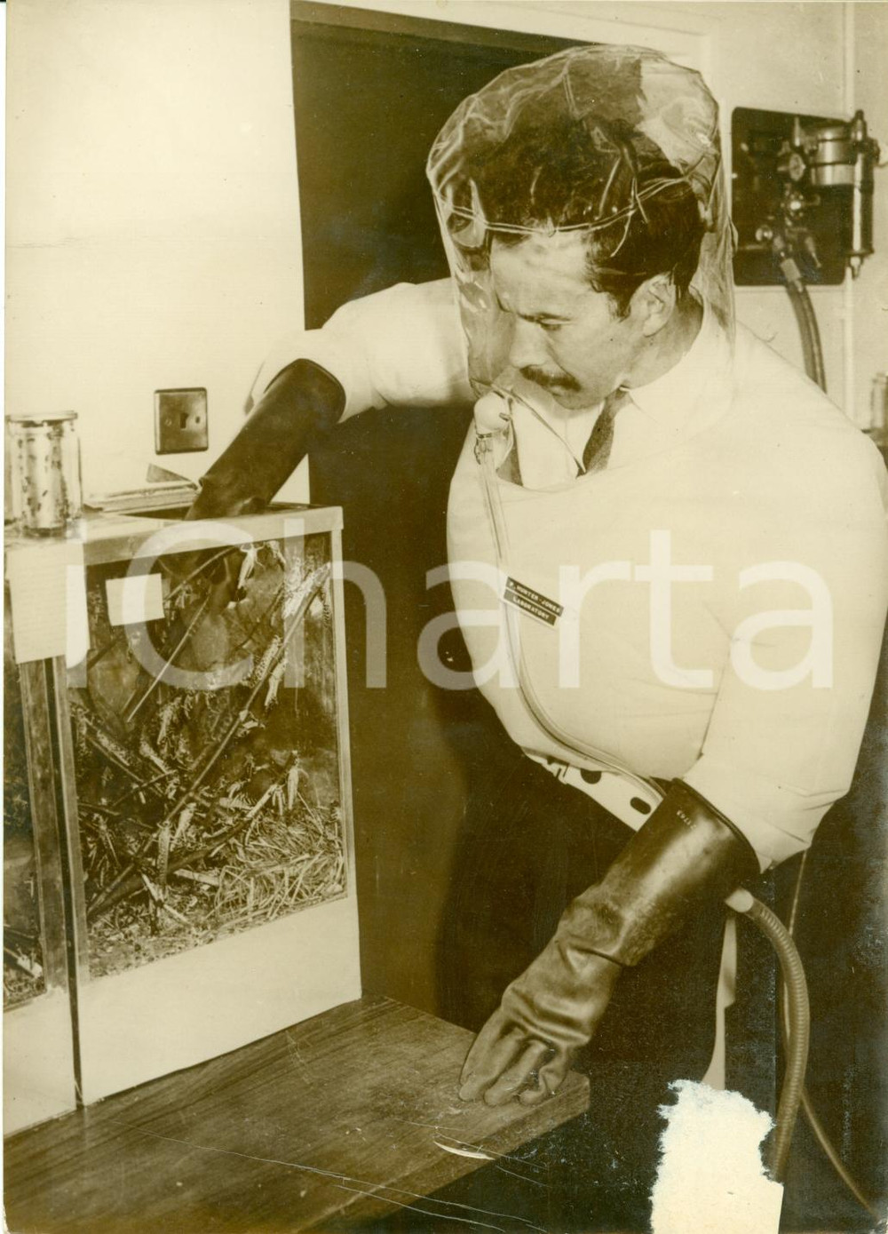 Fotografia d epoca originale 1964 LONDRA Il nuovo centro ricerche contro le CAVALLETTE Fotografia 1