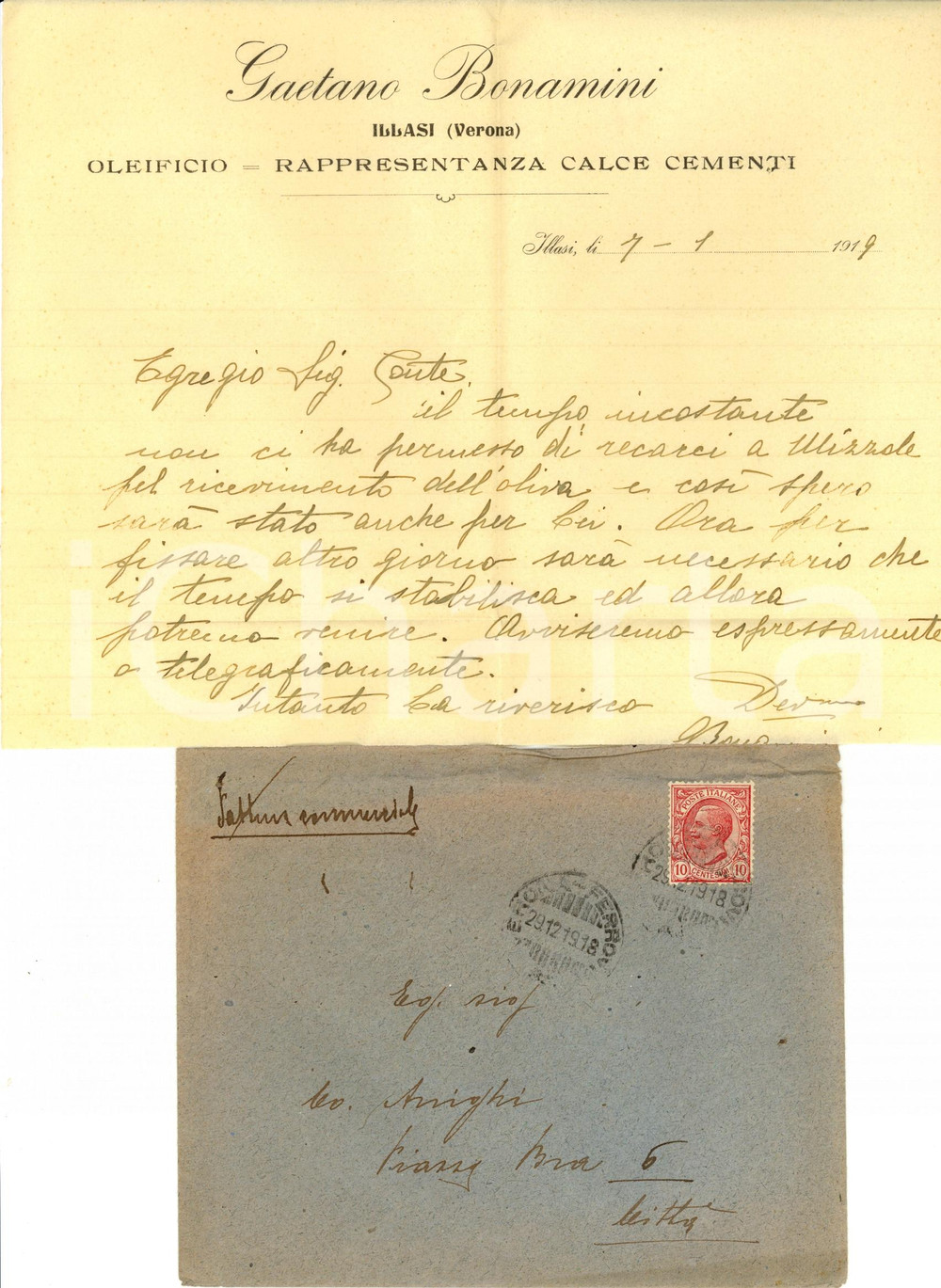 Manoscritto, lettera originale 1919 ILLASI VR Gaetano BONAMINI raccoglie olive conte ARRIGHI 1