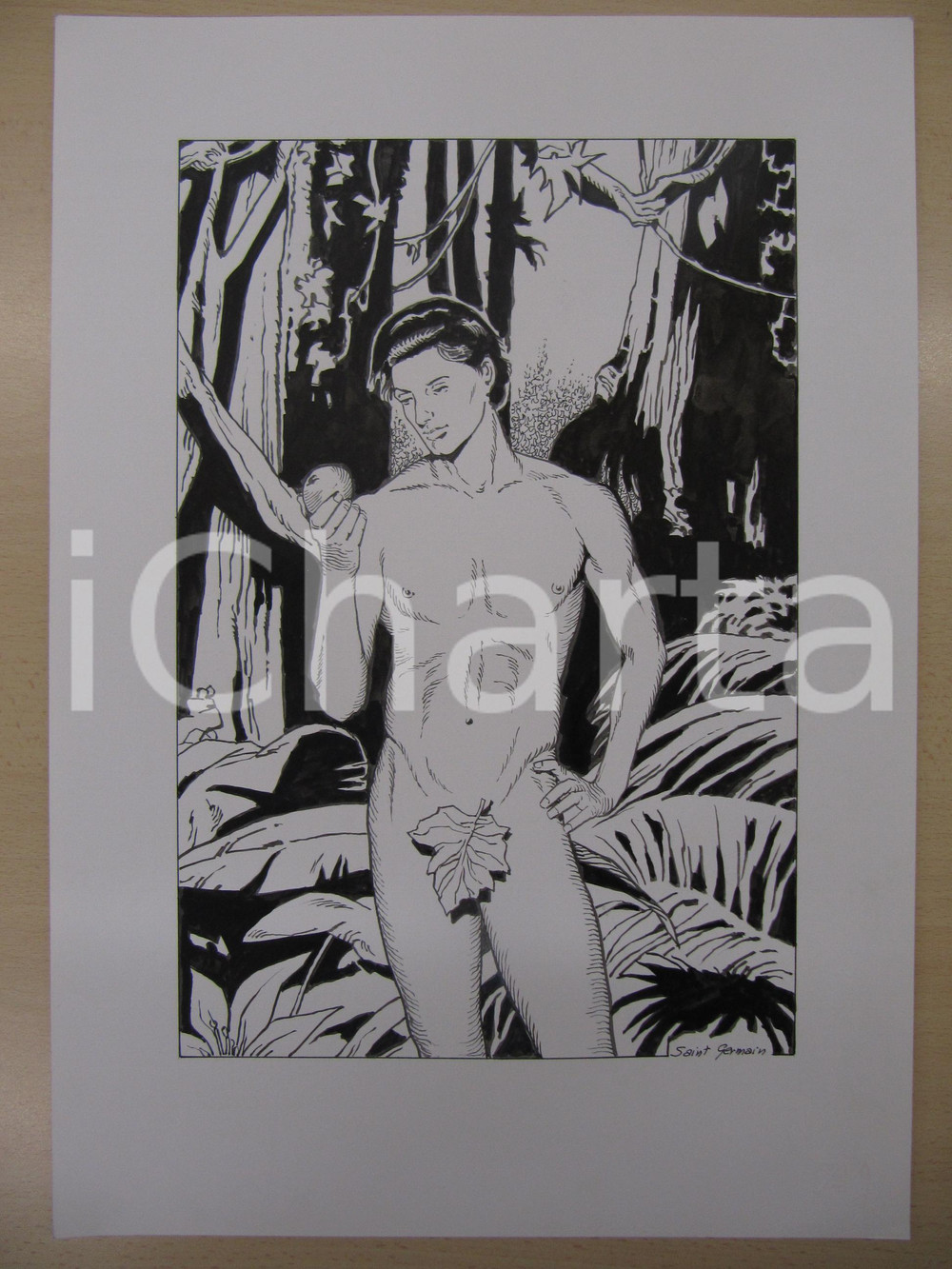 Opera d’arte autentica 1970 Fumetto erotico Giovane ADAMO nudo Originale a china SAINT GERMAIN 1